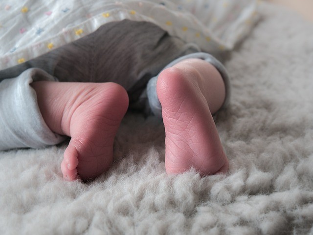 672d8559556b0.jpg