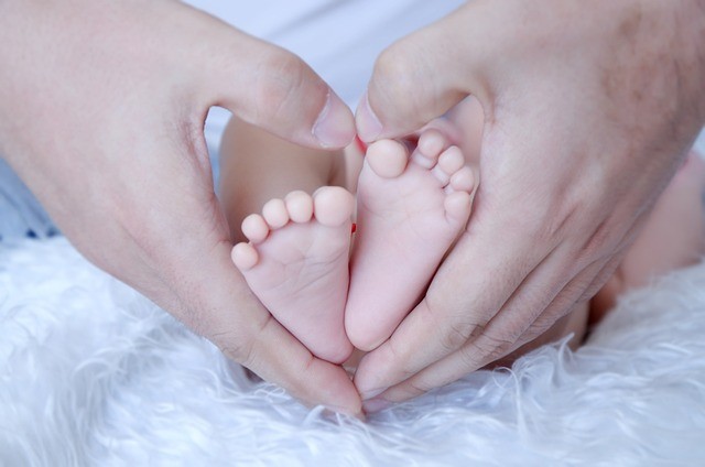 675123dad9149.jpg